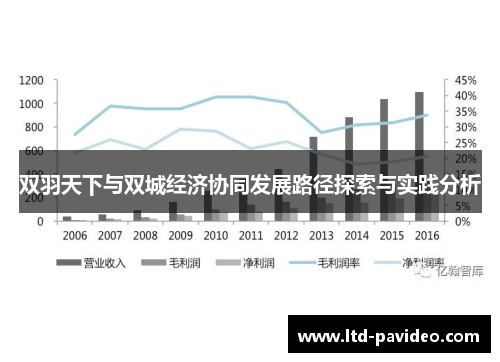 双羽天下与双城经济协同发展路径探索与实践分析