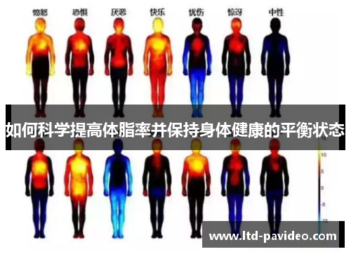 如何科学提高体脂率并保持身体健康的平衡状态