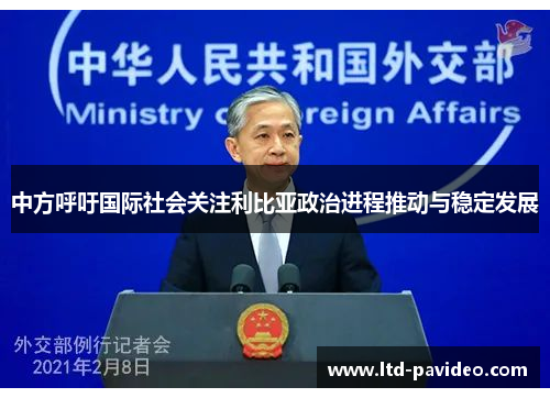 中方呼吁国际社会关注利比亚政治进程推动与稳定发展