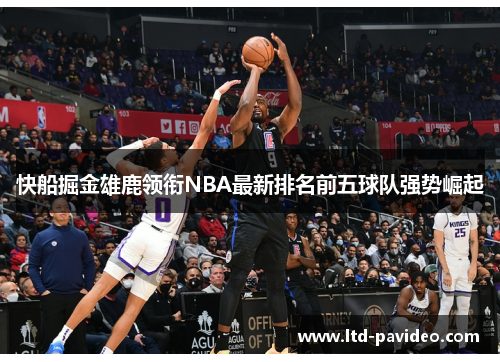快船掘金雄鹿领衔NBA最新排名前五球队强势崛起