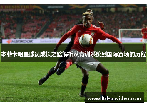 本菲卡明星球员成长之路解析从青训系统到国际赛场的历程