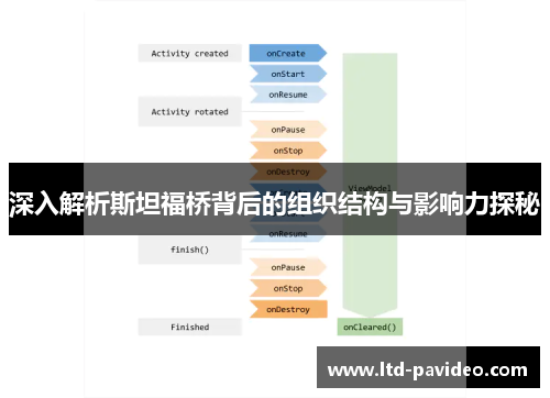 深入解析斯坦福桥背后的组织结构与影响力探秘