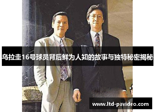 乌拉圭16号球员背后鲜为人知的故事与独特秘密揭秘