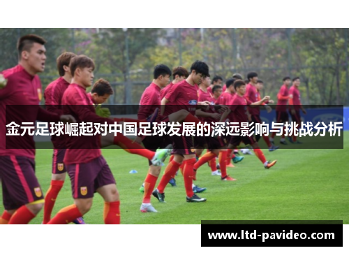 金元足球崛起对中国足球发展的深远影响与挑战分析