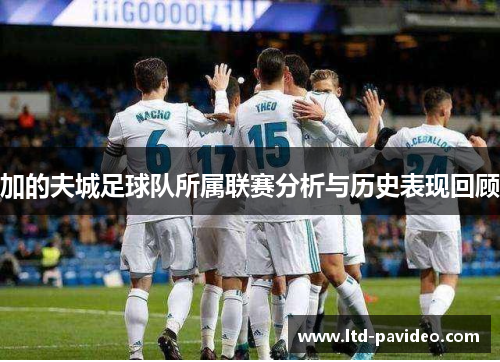 加的夫城足球队所属联赛分析与历史表现回顾