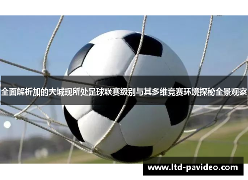 全面解析加的夫城现所处足球联赛级别与其多维竞赛环境探秘全景观察