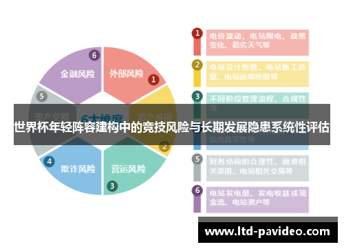 世界杯年轻阵容建构中的竞技风险与长期发展隐患系统性评估