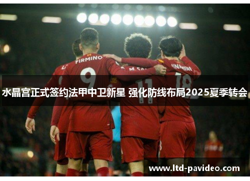 水晶宫正式签约法甲中卫新星 强化防线布局2025夏季转会